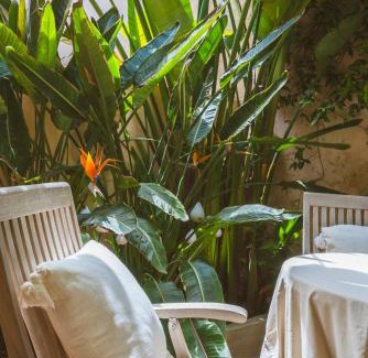 Saint-Tropez City Centre Villa | Maison Magdeleine