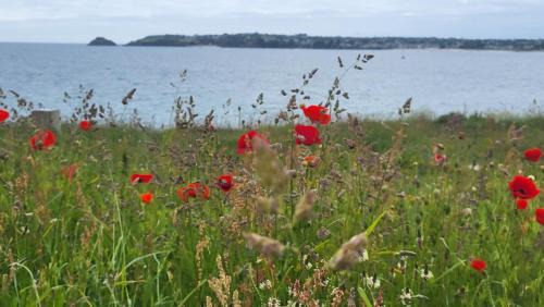 Locmaria-Plouzane Resort | Maison mer et piscine 3 nuits minimum