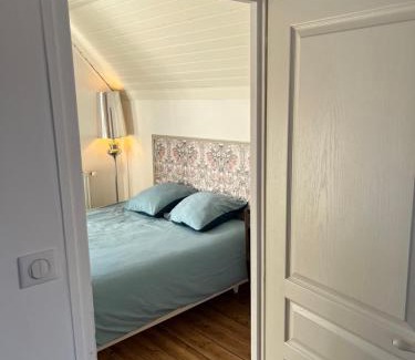 Schiltigheim House | Maison privée avec jardin OU suite de 45M2- 5 arrêts bus du centre ville -Chez Regine