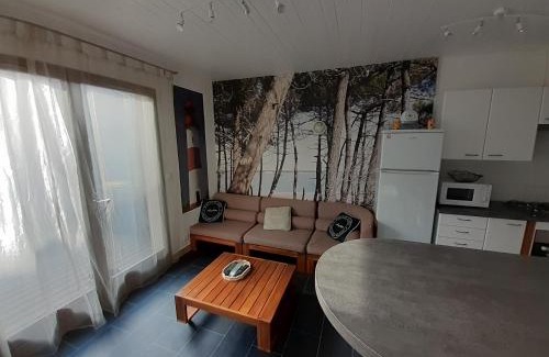 Ronce-les-Bains House | Maison RONCE LES BAINS