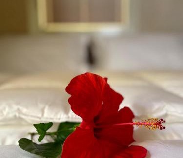 Agrigento Apartment | Maison Yolo - Slow Living Sicily