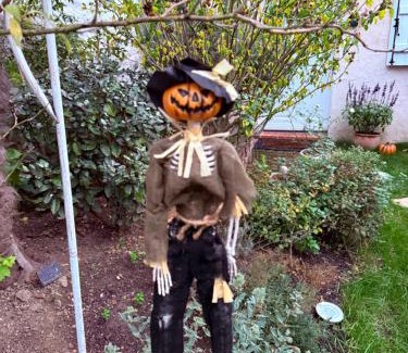 Vernon Apartment | Maisonnette individuelle au coeur de Vernon