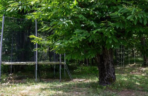 Gravieres House | Maisons Cozy - Mas Lachamp