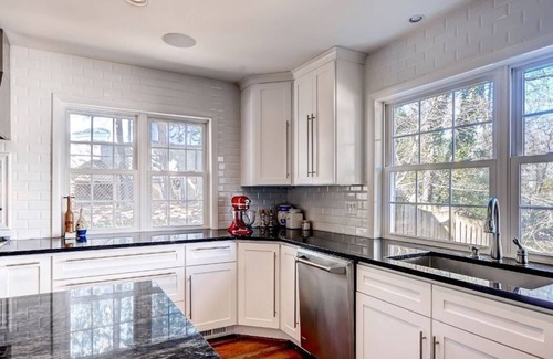 Donaldson Run House | Majestic Residence, Theater, Gym - 5 miles from DC