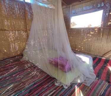 St. Catherine Other | Makany Makanak Camp