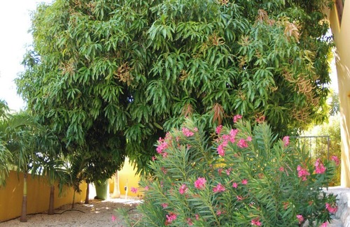 Willemstad Apartment | Mako : Spacious two bedroom apartment that sleeps up to 5 with pool