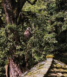 Almora House | Makot at Binsar
