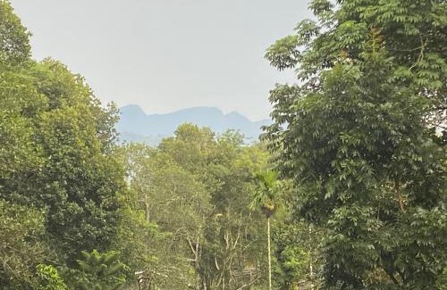 Wayikkal Apartment | Maliga Apartment