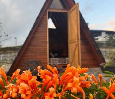 Piedecuesta Cabin | Mambe refugio
