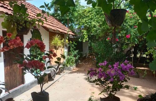 Habarana House | Mamisa Café, Home stay