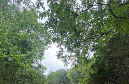 Horse Cave Apartment | Mammoth Cave Campsite Bliss