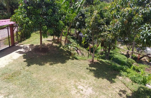 Curiti House | MANANTIAL DE VIDA ETERNA