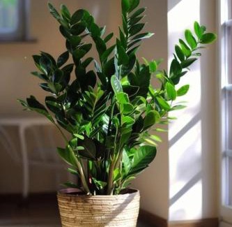 Bui Thi Xuan Hotel | Mandarin Boutique