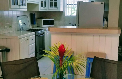 Oistins Condo | Mangoville Near Dover Beach