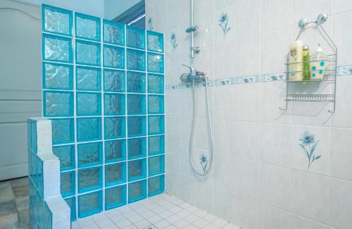 Amboise Bed & Breakfast | Manoir de la Maison Blanche