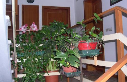 Pian di Novello Apartment | Mansarda in montagna