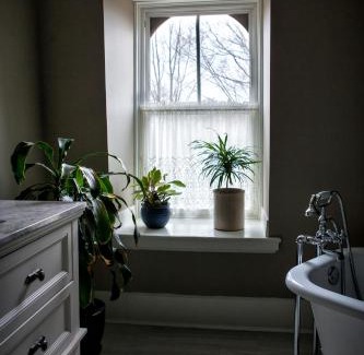 Dorchester Bed & Breakfast | Maplehurst Manor Bed and Breakfast