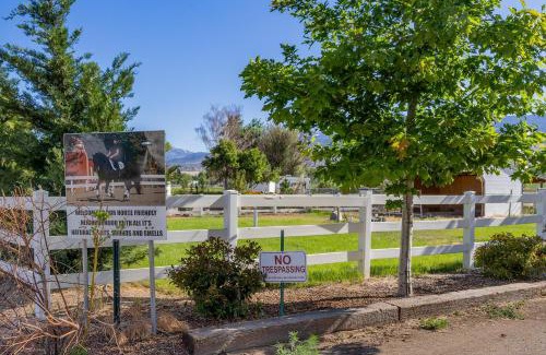Reno/Tahoe Airport House | @ Marbella Lane - Eccentric 4BR Modern Ranch Home