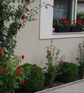 Gyenesdias House | Margareta Home