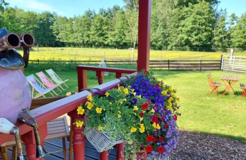 Stokrooie House | Margaux B&B Babbita