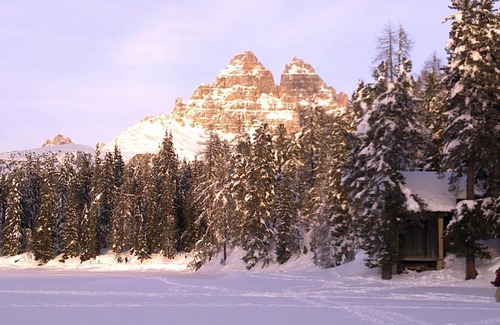 Calalzo di Cadore Apartment | Margiolà Dolomiti