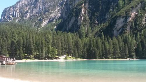 Calalzo di Cadore Apartment | Margiolà Dolomiti