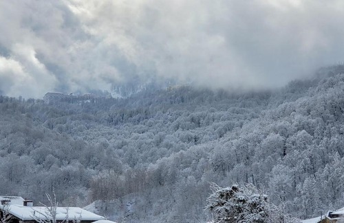 Gorki Gorod House | Margo Guesthouse