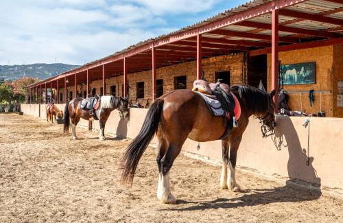 Marmari Apartment | Maria's Horse Farm House