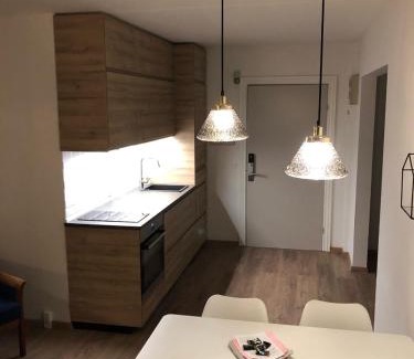 Kronborg Apartment | Marienlyst Apartment