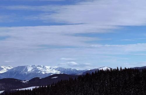 Paltinis Villa | Marmotta Paltinis