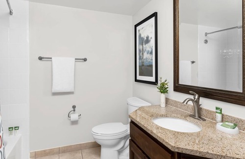 Palm Beach Hotel | Marriott's Aruba Surf - Studio- Premier Hosts over 150 Total Reviews