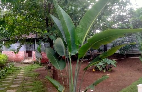 Shahapur House | Mars Agro Farm - Shahapur