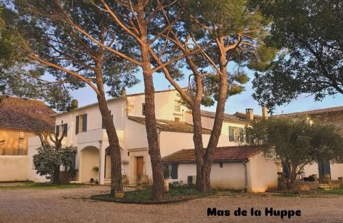 Beauvoisin Apartment | Mas de la Huppe - Franquevaux en Petite Camargue