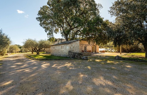 Uzes Villa | Mas de Luxe in Uzès : Charm in the heart of an olive grove (14 people, pool)