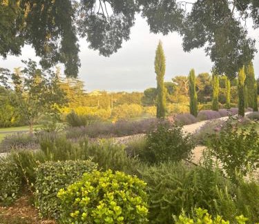 St.-Remy-de-Provence Villa | Mas de Nanor