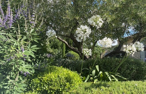 Gordes House | Mas des anges in gordes