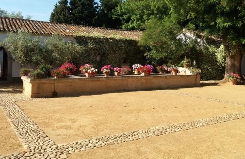 Mas Thibert Other | Mas des Bécasses en campagne, 15 min d'Arles, 10 personnes