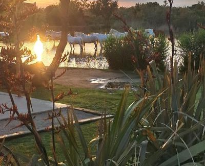 Saintes-Maries-de-la-Mer Bed & Breakfast | Mas des Cabidoules