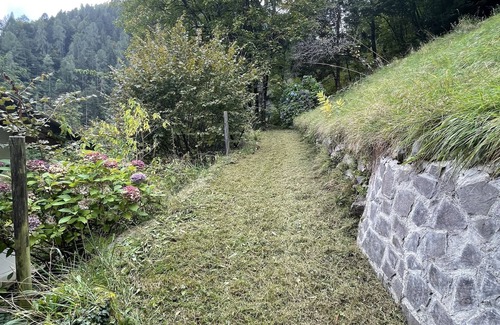 Canal San Bovo Ski Chalet | Maso el Bepo Baita di Montagna del 1.700 Ristrutturato a Nuovo