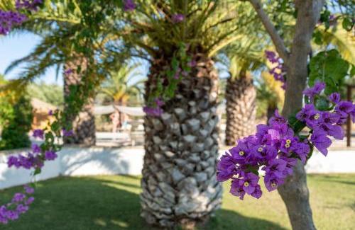 Polignano a Mare House | Masseria Cesarina B&B
