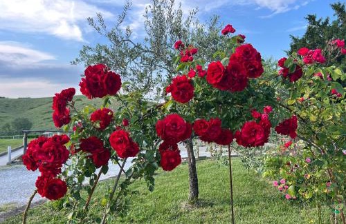Montaione House | Masso alle Rose di Santarsiero Serena