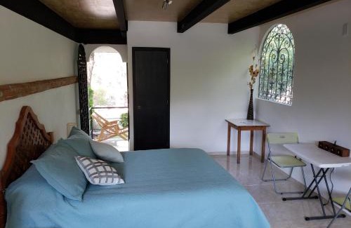 Tequisquiapan Apartment | MASTER SUITE JARDIN