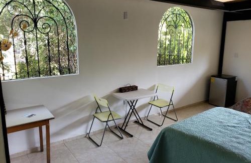 Tequisquiapan Apartment | MASTER SUITE JARDIN