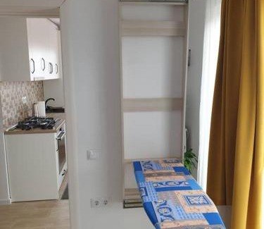 Tirgu Mures Apartment | Max Studio