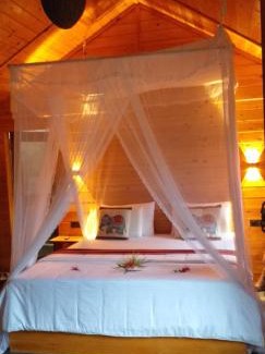 Ambagollapathana House | Mc wood ella