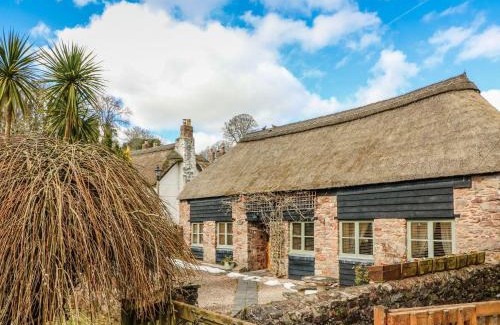 Torquay House | Meadow Thatch