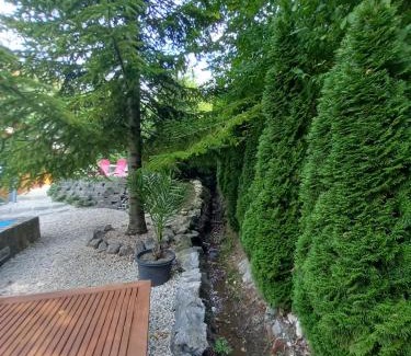 Pecs Apartment | Mecsek apartman