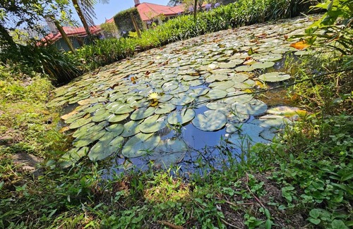 Nuwara Eliya House | Meena Ella Bungalow – Your Heritage Retreat in Sri Lanka’s Hill Country