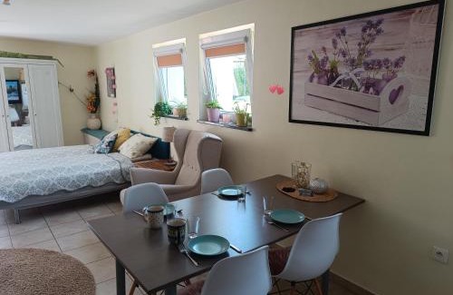 Wyspa Sobieszewska Apartment | Megan turystyka