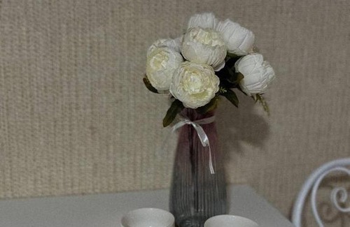 Aktobe Bed & Breakfast | Meiman Hotel